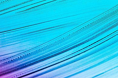 《刀剑乱舞无双》第三部队介绍演示：巴形薙刀